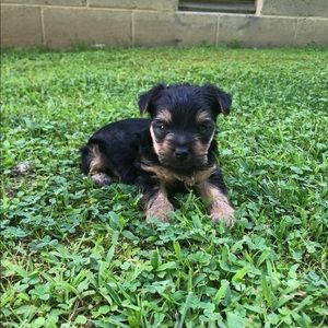 Meet your Posher, Kaitlin